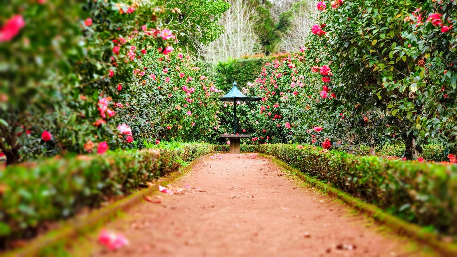 Défrichage terrain Somme - Rigaux Jardins