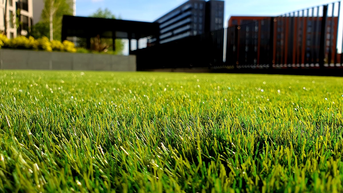 Création de jardin Amiens - Rigaux Jardins